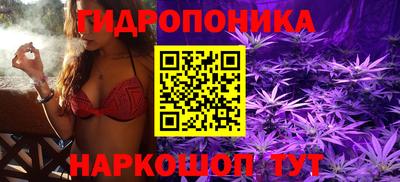 spice Дубна